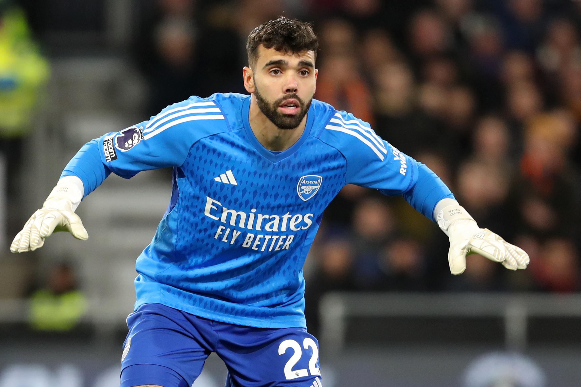 In Praise of Arsenal keeper David Raya